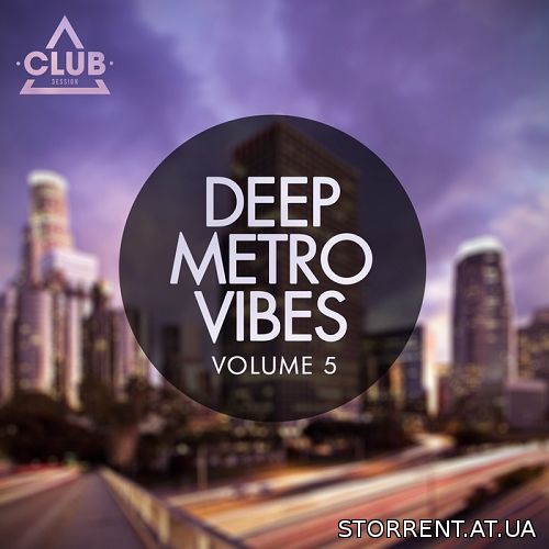 VA - Deep Metro Vibes Vol 5 (2014) MP3