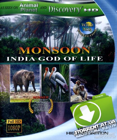 Дикая Азия: Муссон - индийский бог жизни / BDRip 720p / Wild Asia: Monsoon - India God of Life (1999)
