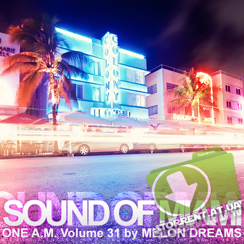 VA - Sound Of Miami: One A.M. Volume 31 (2015) MP3